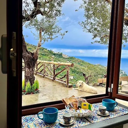 The Wind Rose Bed & Breakfast