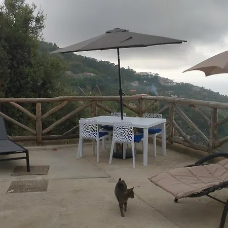 The Wind Rose SantʼAgata sui Due Golfi